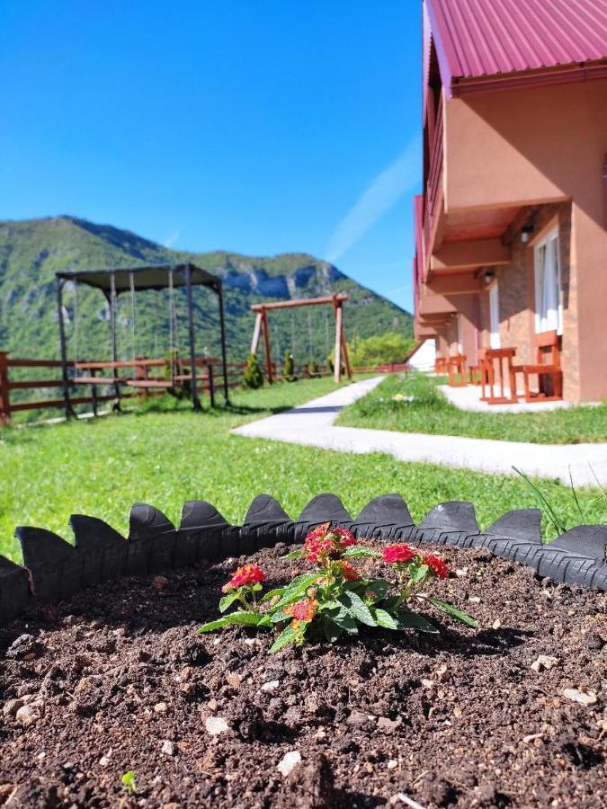 Guesthouse Madzarevic Plužine Exterior foto